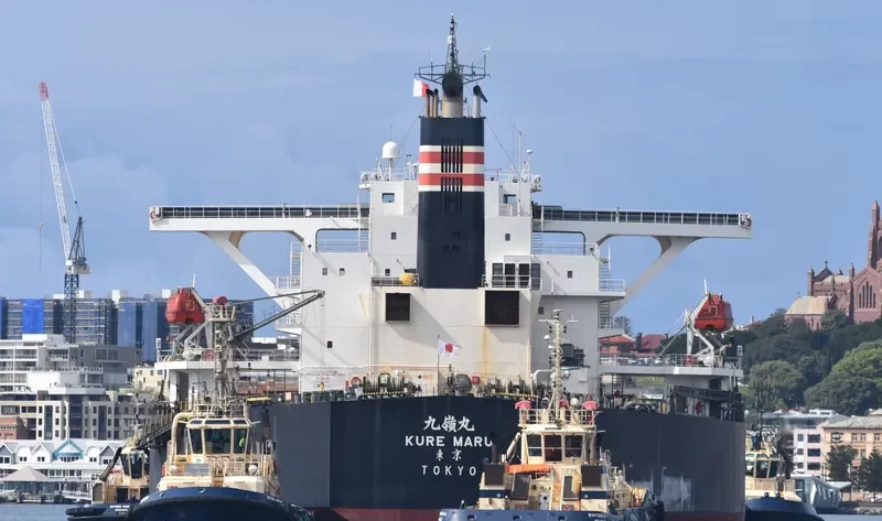 MOONLIGHT DOLPHIN Bulk Carrier IMO 9393216 photo 9