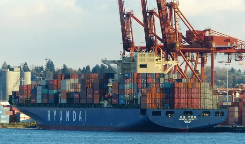 KOTOR BAY Container Ship IMO 9393319 photo 8