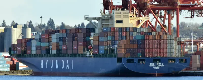 KOTOR BAY Container Ship IMO 9393319 photo 9