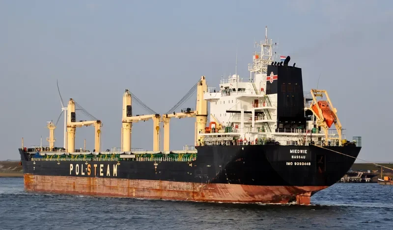 MIEDWIE Bulk Carrier IMO 9393448 photo 2