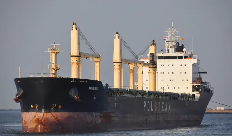 MIEDWIE Bulk Carrier IMO 9393448 photo 3