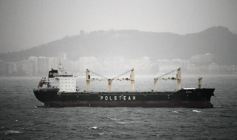 MIEDWIE Bulk Carrier IMO 9393448 photo 4
