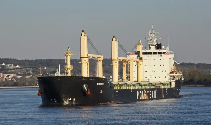 MIEDWIE Bulk Carrier IMO 9393448 photo 5