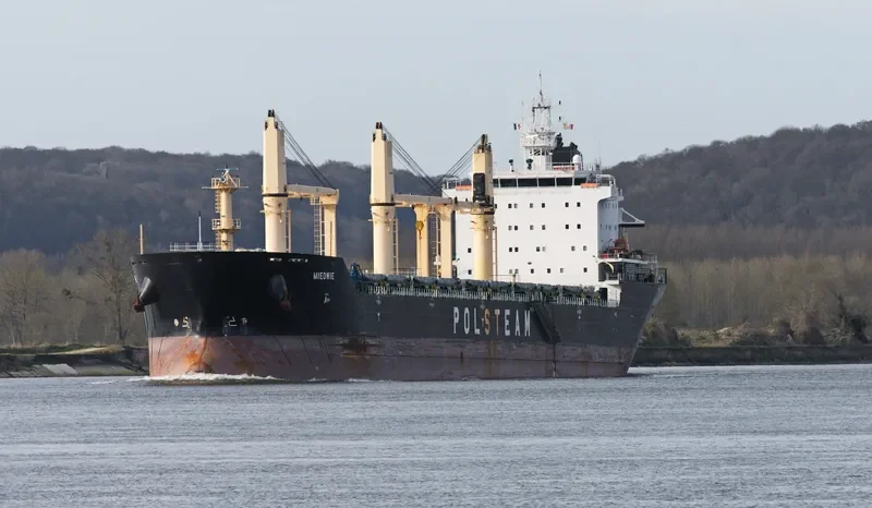 MIEDWIE Bulk Carrier IMO 9393448 photo 8