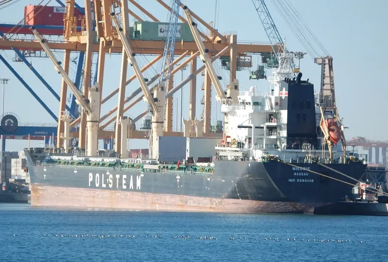 MIEDWIE Bulk Carrier IMO 9393448 photo 9