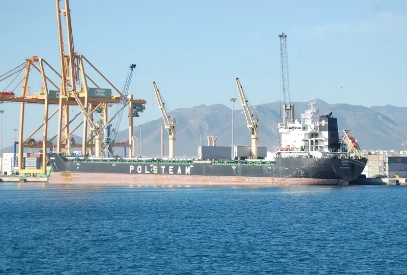 MIEDWIE Bulk Carrier IMO 9393448 photo 10