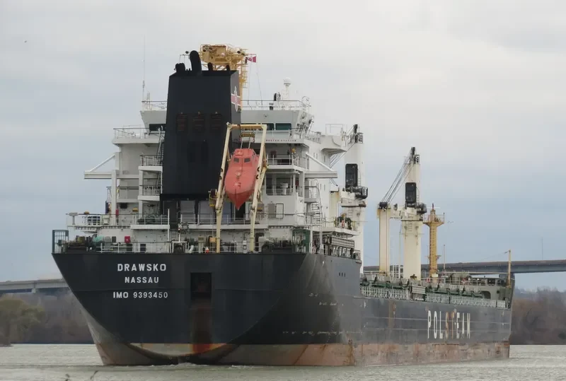 DRAWSKO Bulk Carrier IMO 9393450 photo 2