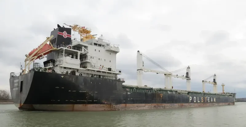 DRAWSKO Bulk Carrier IMO 9393450 photo 3