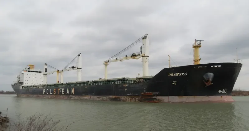 DRAWSKO Bulk Carrier IMO 9393450 photo 4
