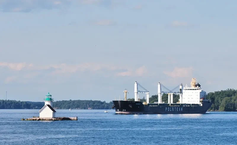 DRAWSKO Bulk Carrier IMO 9393450 photo 10