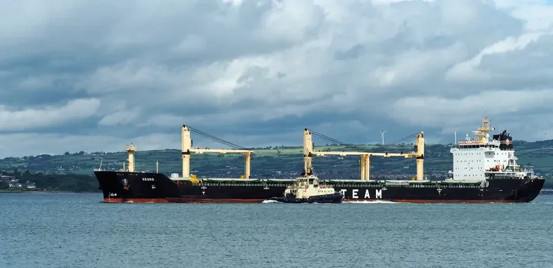 RESKO Bulk Carrier IMO 9393462 photo 6