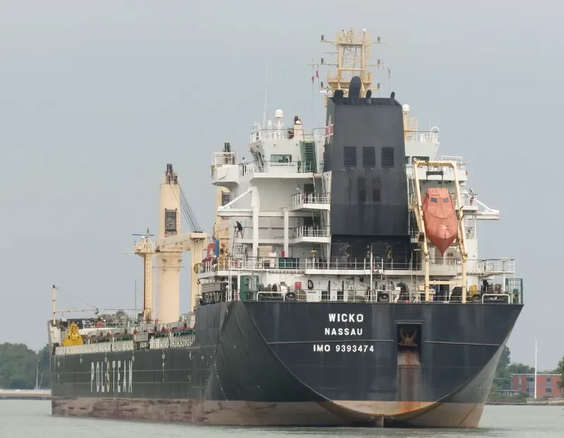 WICKO Bulk Carrier IMO 9393474 photo 2
