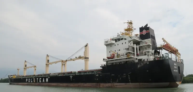 WICKO Bulk Carrier IMO 9393474 photo 3