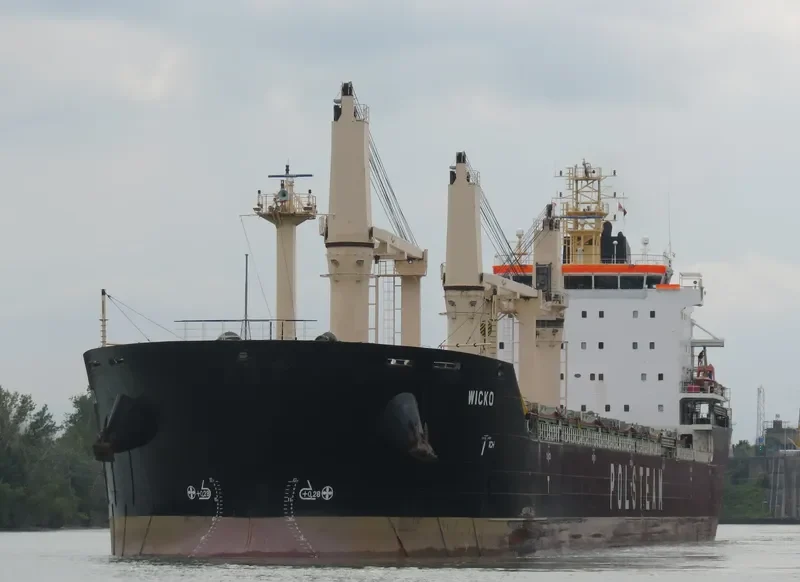 WICKO Bulk Carrier IMO 9393474 photo 5