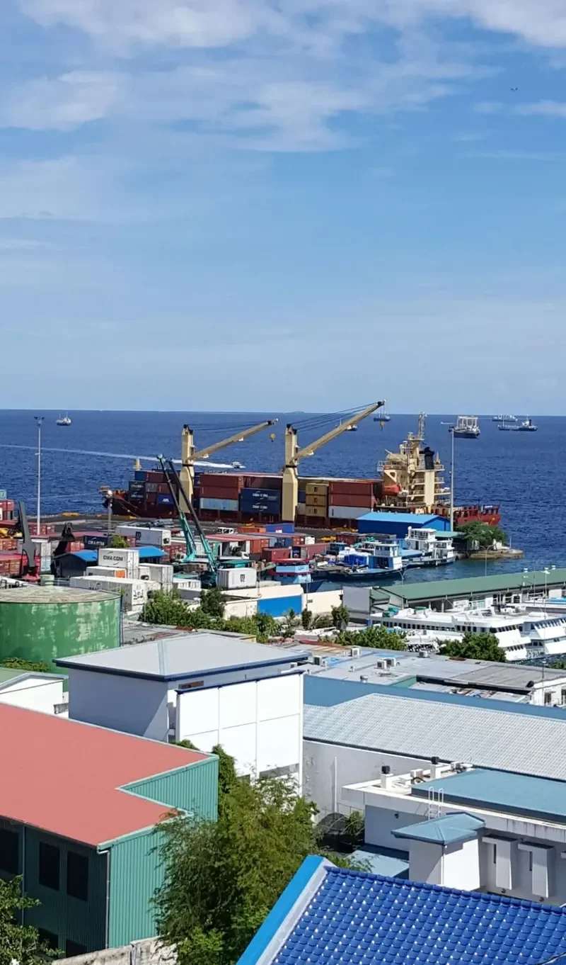 SKYLINE General Cargo IMO 9393498