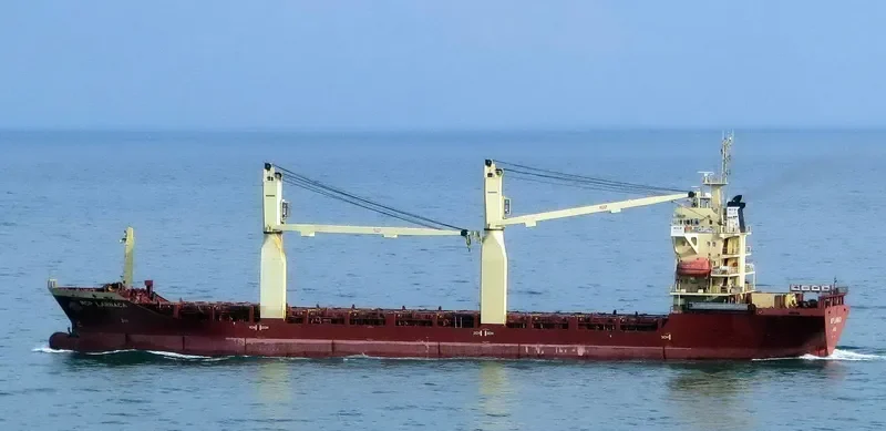SKYLINE General Cargo IMO 9393498 photo 2