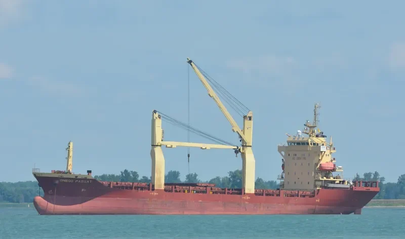 SKYLINE General Cargo IMO 9393498 photo 7