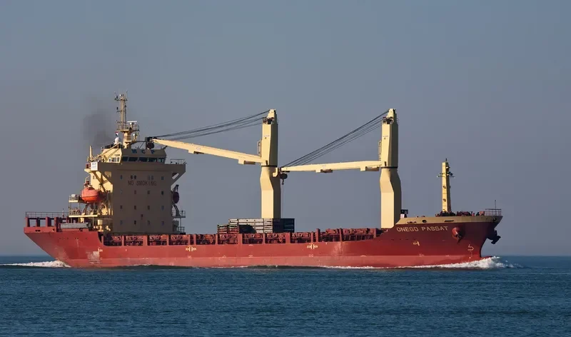 SKYLINE General Cargo IMO 9393498 photo 8