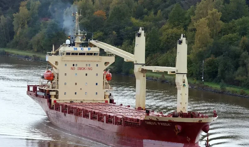 SKYLINE General Cargo IMO 9393498 photo 10