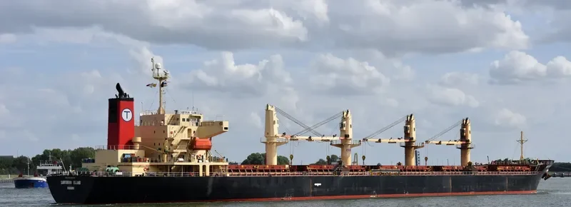 SANTORINI ISLAND Bulk Carrier IMO 9393618 photo 4