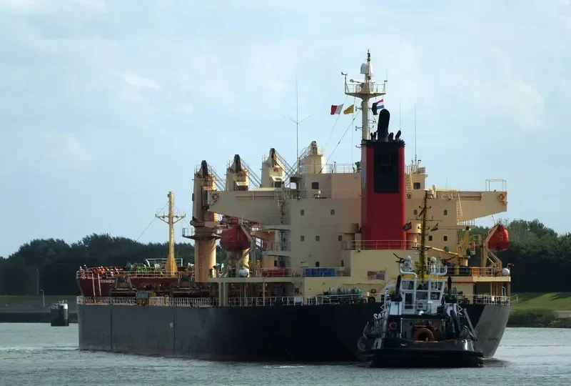 SANTORINI ISLAND Bulk Carrier IMO 9393618 photo 7