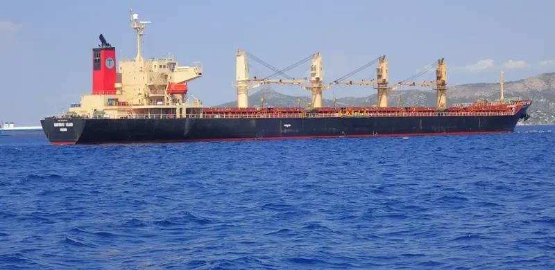 SANTORINI ISLAND Bulk Carrier IMO 9393618 photo 10