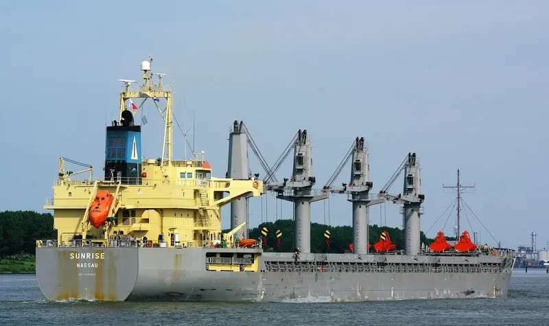 SUNRISE Bulk Carrier IMO 9393620 photo 2