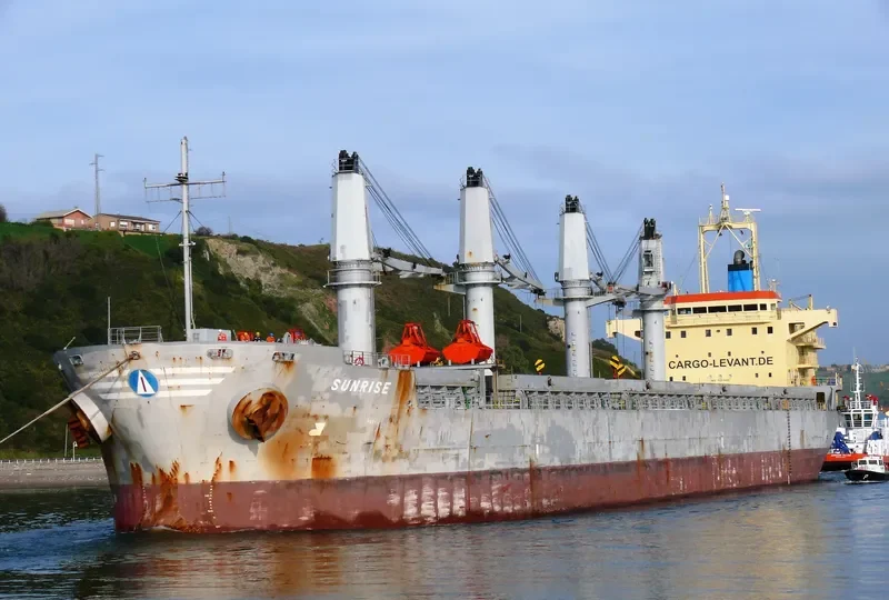 SUNRISE Bulk Carrier IMO 9393620 photo 3