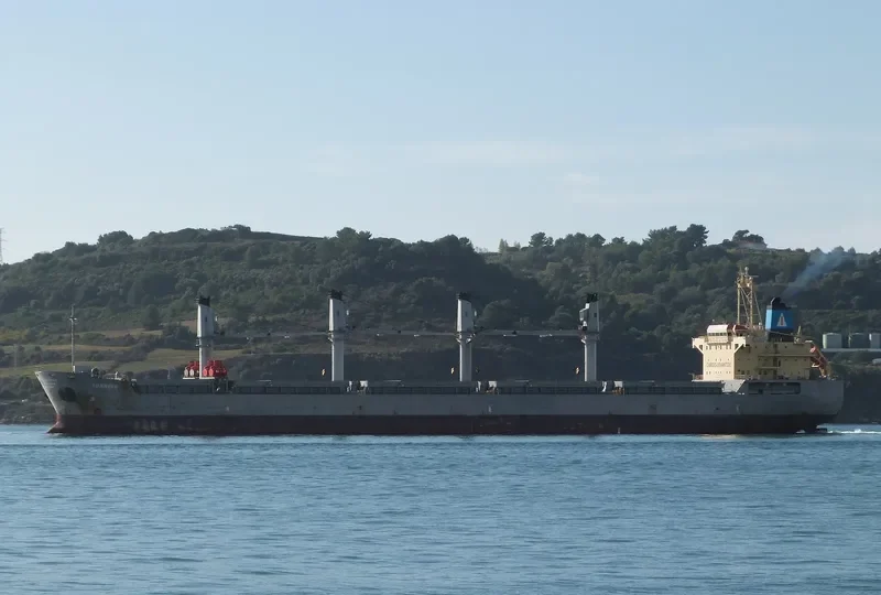SUNRISE Bulk Carrier IMO 9393620 photo 6