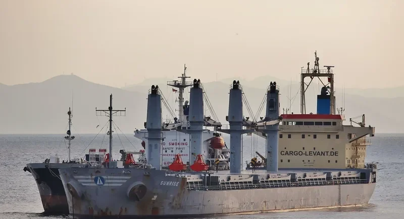 SUNRISE Bulk Carrier IMO 9393620 photo 8