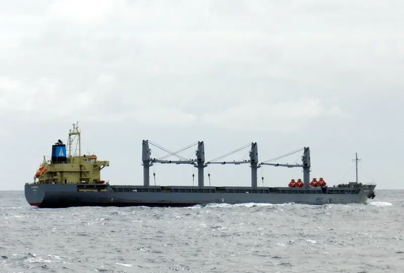 SUNRISE Bulk Carrier IMO 9393620 photo 9