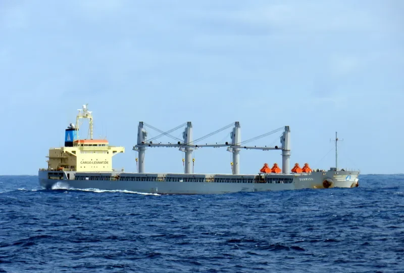 SUNRISE Bulk Carrier IMO 9393620 photo 10