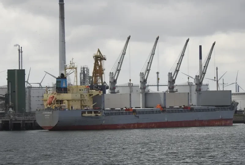 SUNSHINE Bulk Carrier IMO 9393632 photo 3