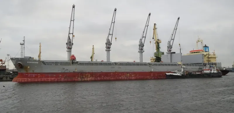 SUNSHINE Bulk Carrier IMO 9393632 photo 8