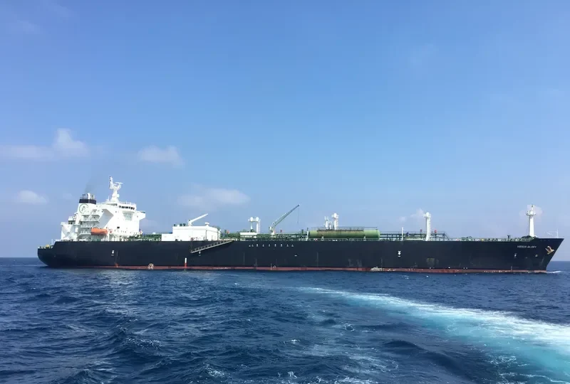 VENUS GLORY General Cargo IMO 9393682