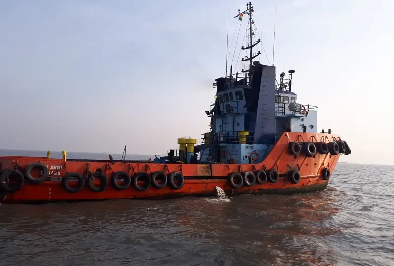 AM AVID General Cargo IMO 9393905