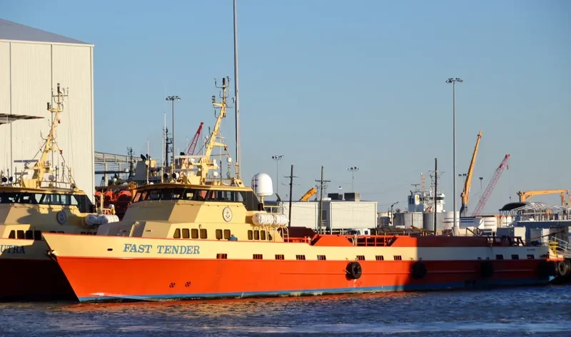 FAST TENDER General Cargo IMO 9393967