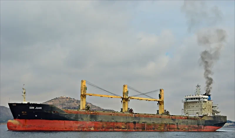 DON JUAN Bulk Carrier IMO 9394222 photo 8