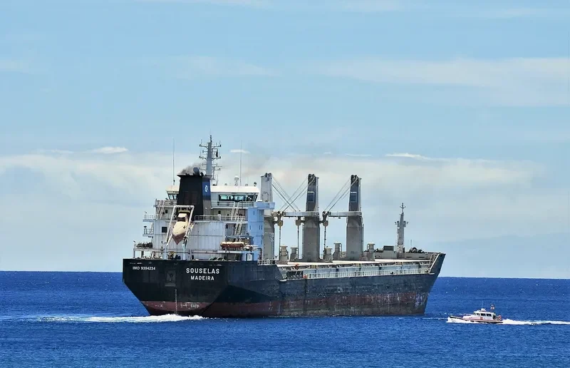 SOUSELAS Bulk Carrier IMO 9394234 photo 7