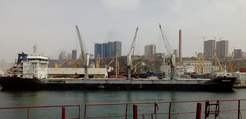 SOUSELAS Bulk Carrier IMO 9394234 photo 8