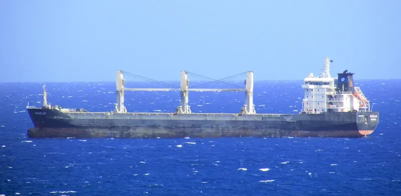 SOUSELAS Bulk Carrier IMO 9394234 photo 10