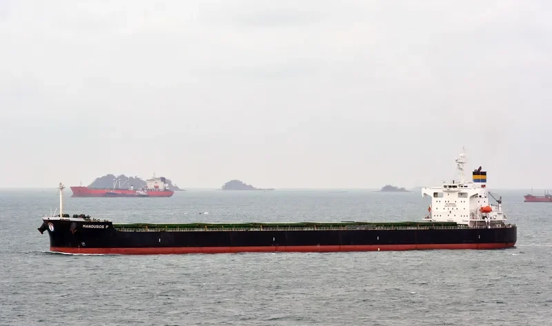 MANOUSOS P Bulk Carrier IMO 9394753 photo 8