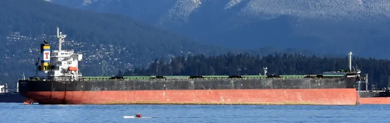 MANOUSOS P Bulk Carrier IMO 9394753 photo 9