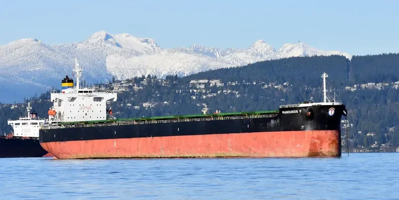 MANOUSOS P Bulk Carrier IMO 9394753 photo 10