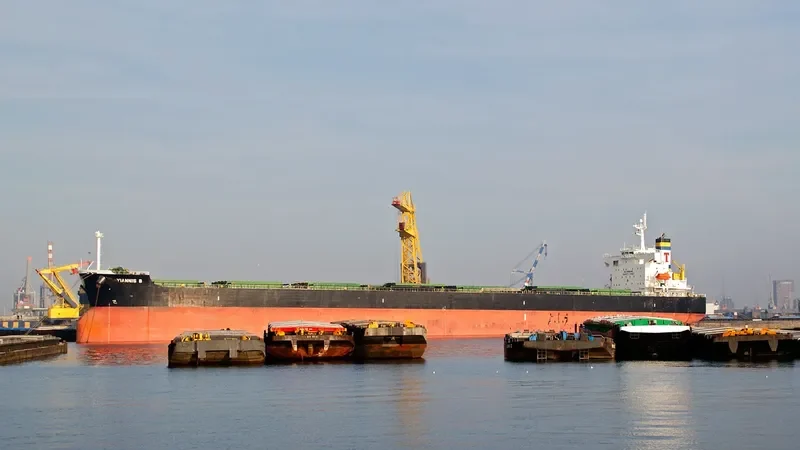 YIANNIS B Bulk Carrier IMO 9394765 photo 5