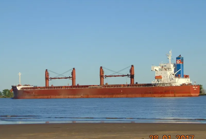 FRIENDLY SEAS Bulk Carrier IMO 9394832