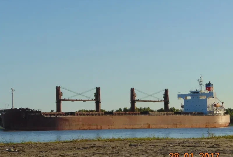 FRIENDLY SEAS Bulk Carrier IMO 9394832 photo 2