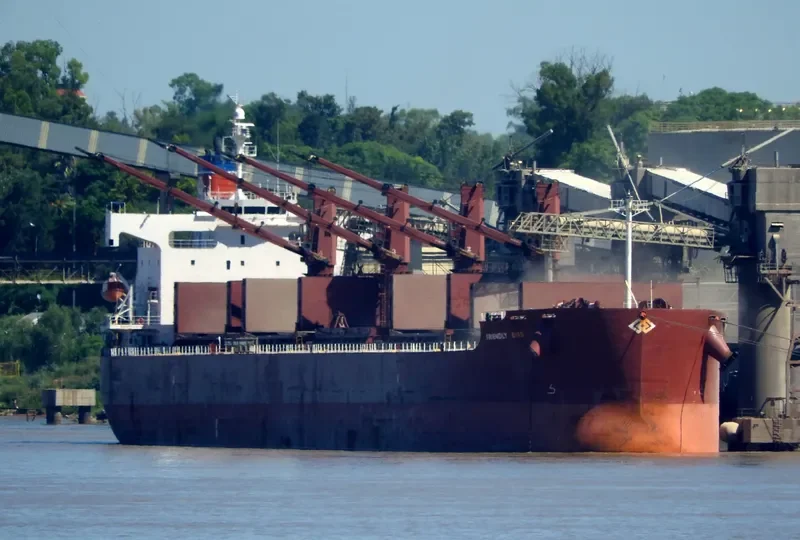 FRIENDLY SEAS Bulk Carrier IMO 9394832 photo 3
