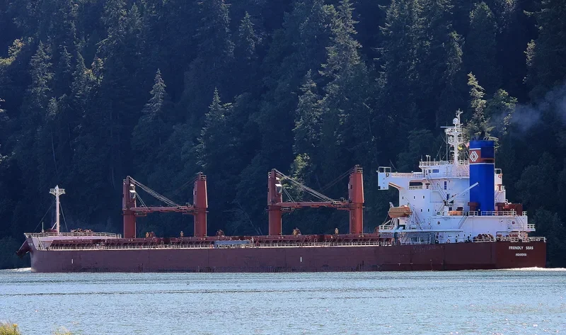 FRIENDLY SEAS Bulk Carrier IMO 9394832 photo 4