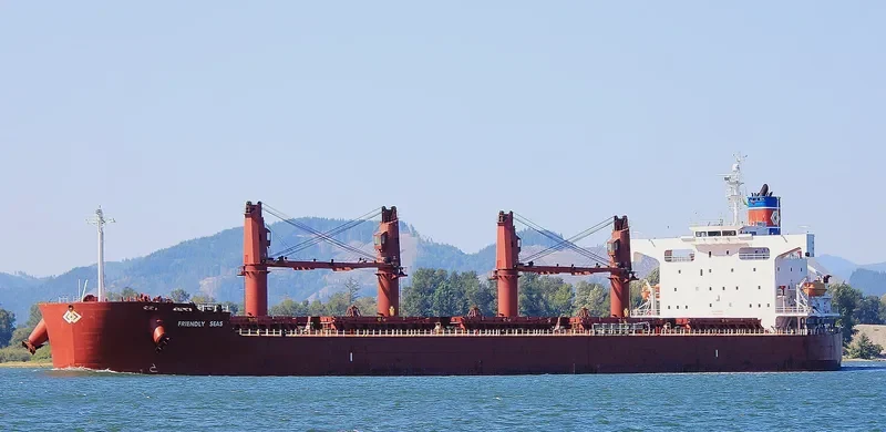 FRIENDLY SEAS Bulk Carrier IMO 9394832 photo 5